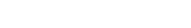TRAVEL ELEVATED
